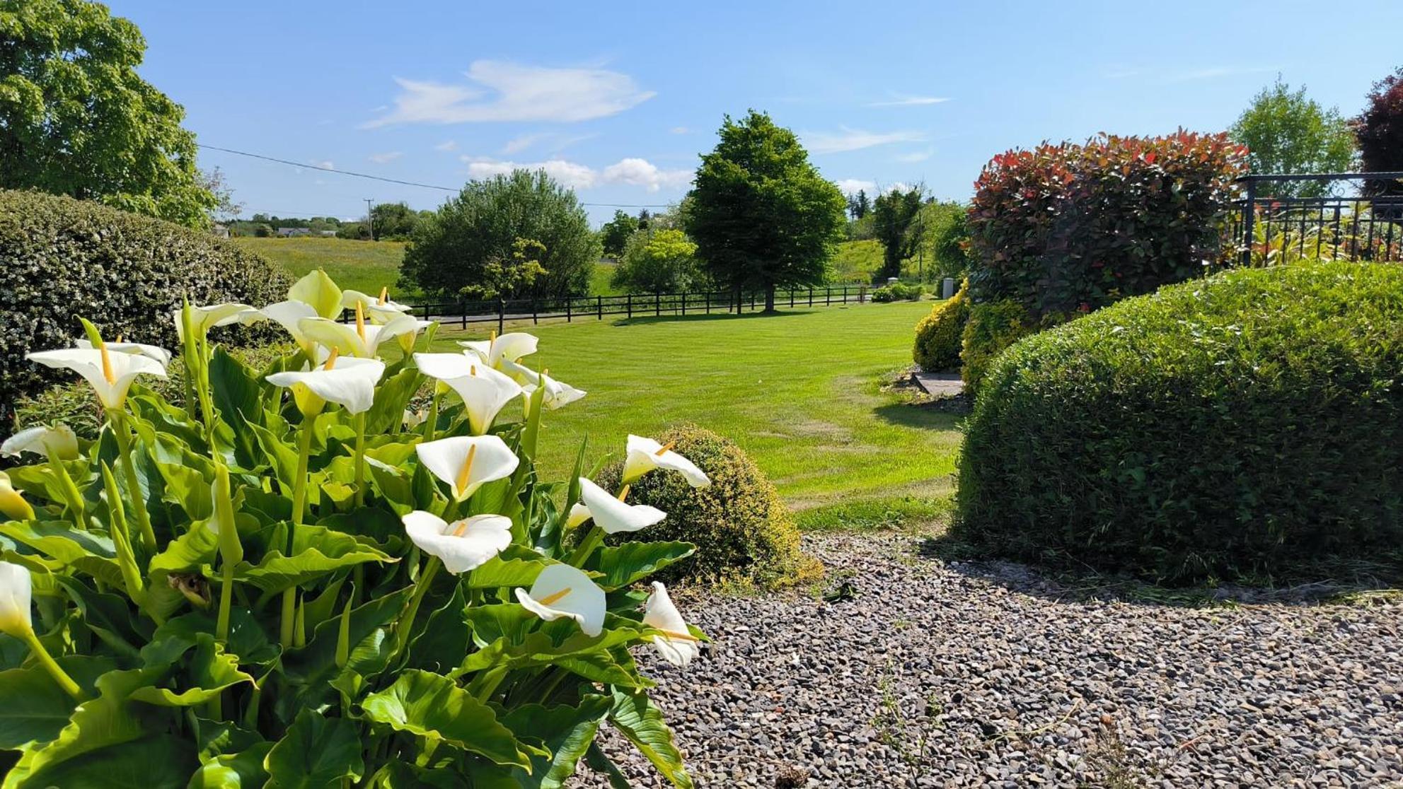 Swinford Country House Kültér fotó